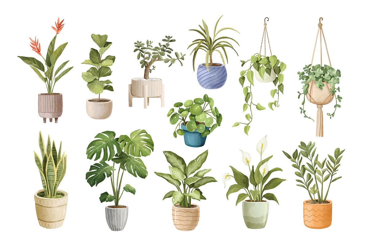 Watercolor Houseplants Clipart, an Object Illustration by ArtGiftsStudio (Photo 2 of 5)
