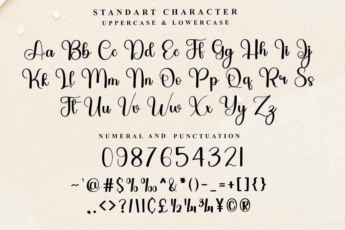 Thick Line, a Handwritten Font by FreshTypeINK (Photo 4 of 8)