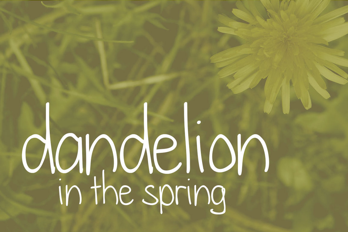 Dandelion in the Spring