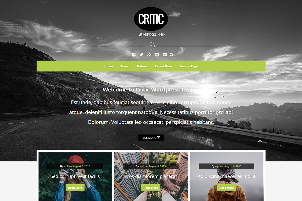 Critic - Responsive Blog WP Theme, a WordPress Template by Sami Themes (Photo 1 of 2)