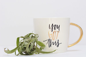 You Got This Mug with Airplant