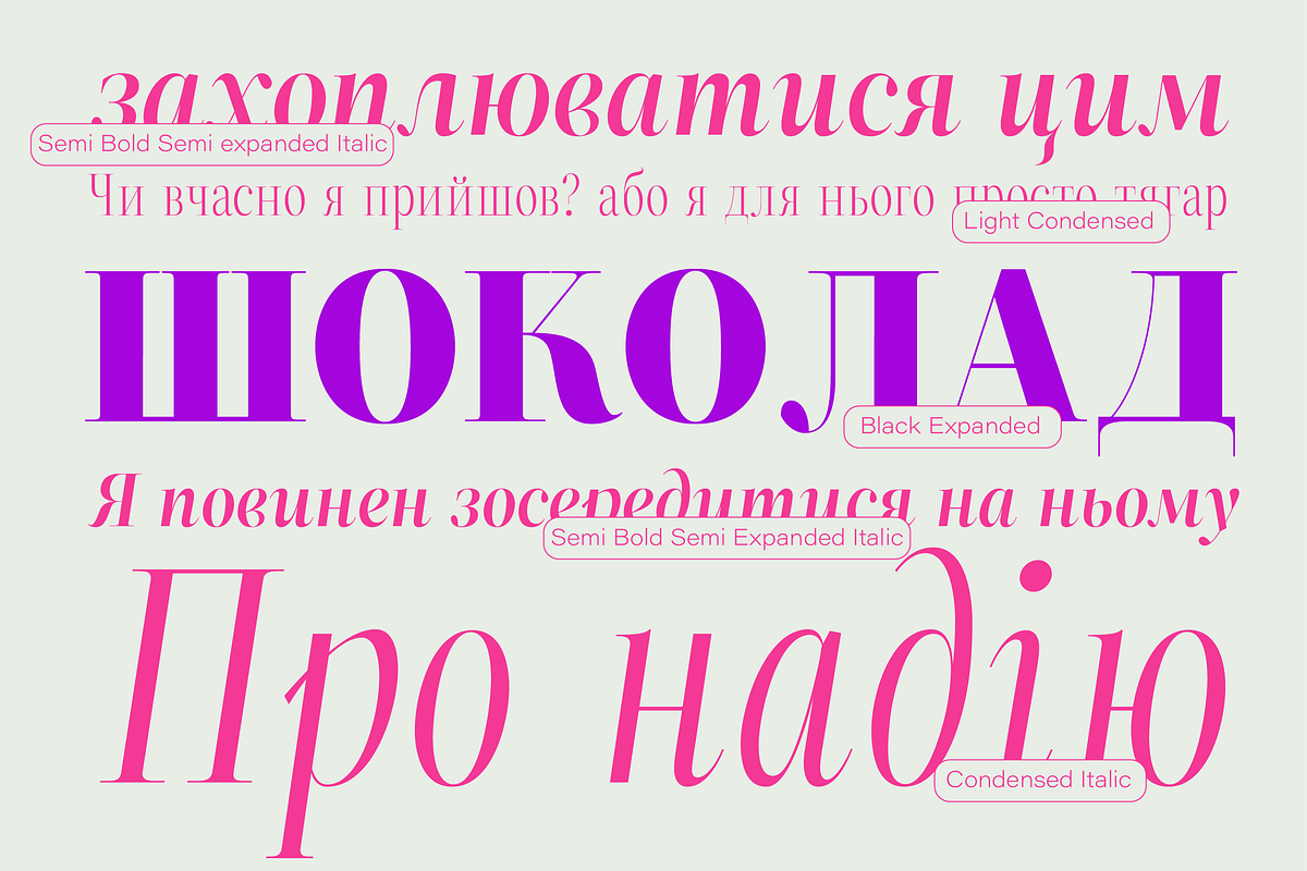 ZT Neue Ralewe Luxury Serif 90 Font, a Serif Font by zelow type (Photo 5 of 24)