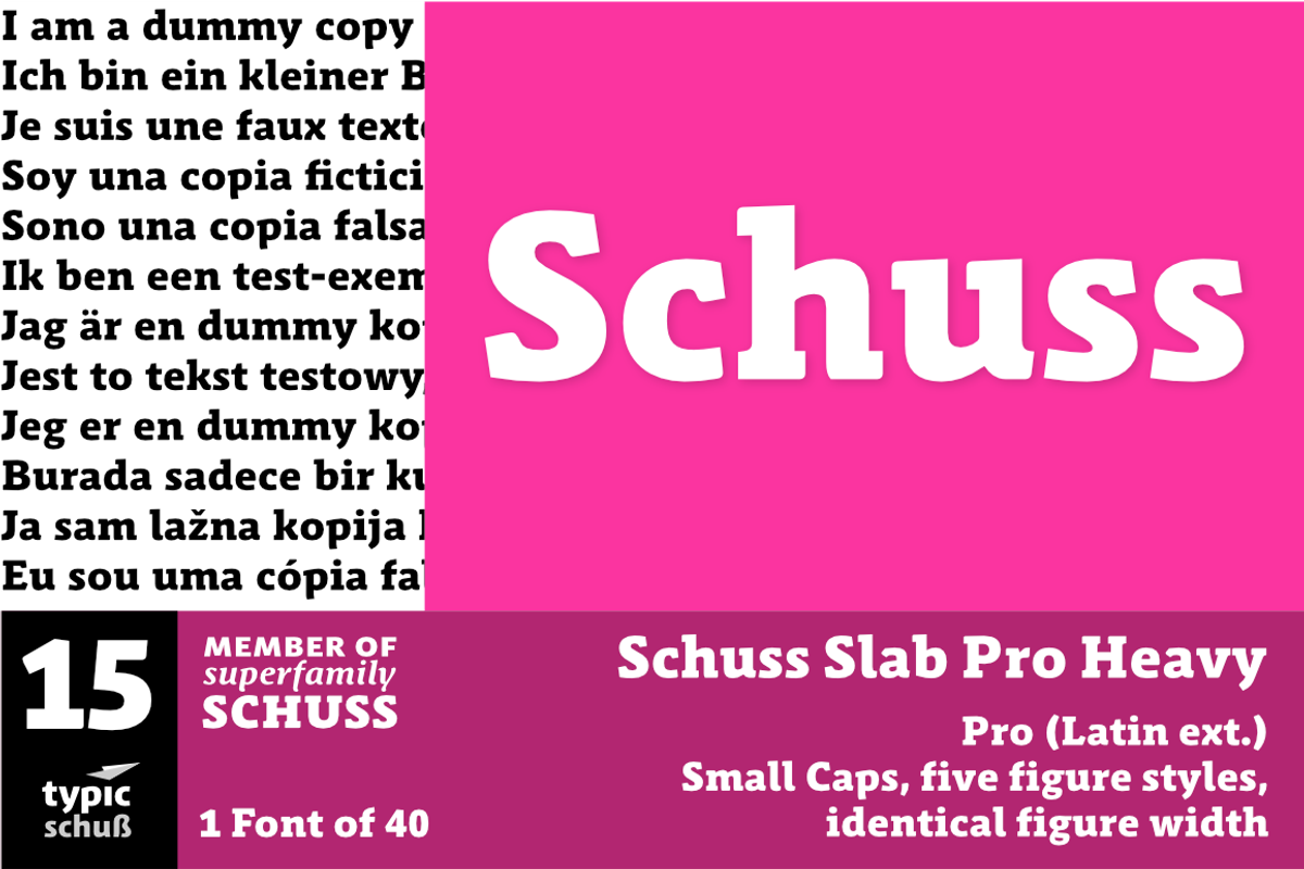 SchussSlabProHeavy No.15 (1 Font)