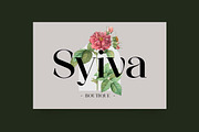 Aglycones Elegant Serif Display Font, a Serif Font by UICreative (Thumbnail 8 of 13)