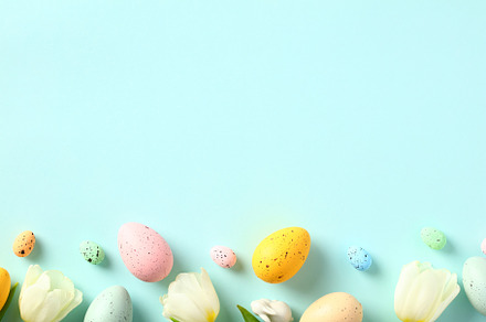 Happy Easter card with colorful Easter eggs and white tulips on pastel blue bac, a Holiday Photo by photoguns