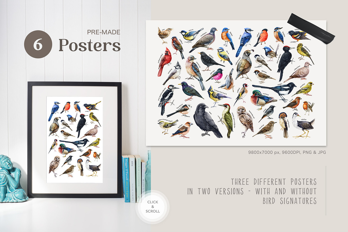 Forest Birds Watercolor Set, an Animal Illustration by AnitaPol (Photo 16 of 26)