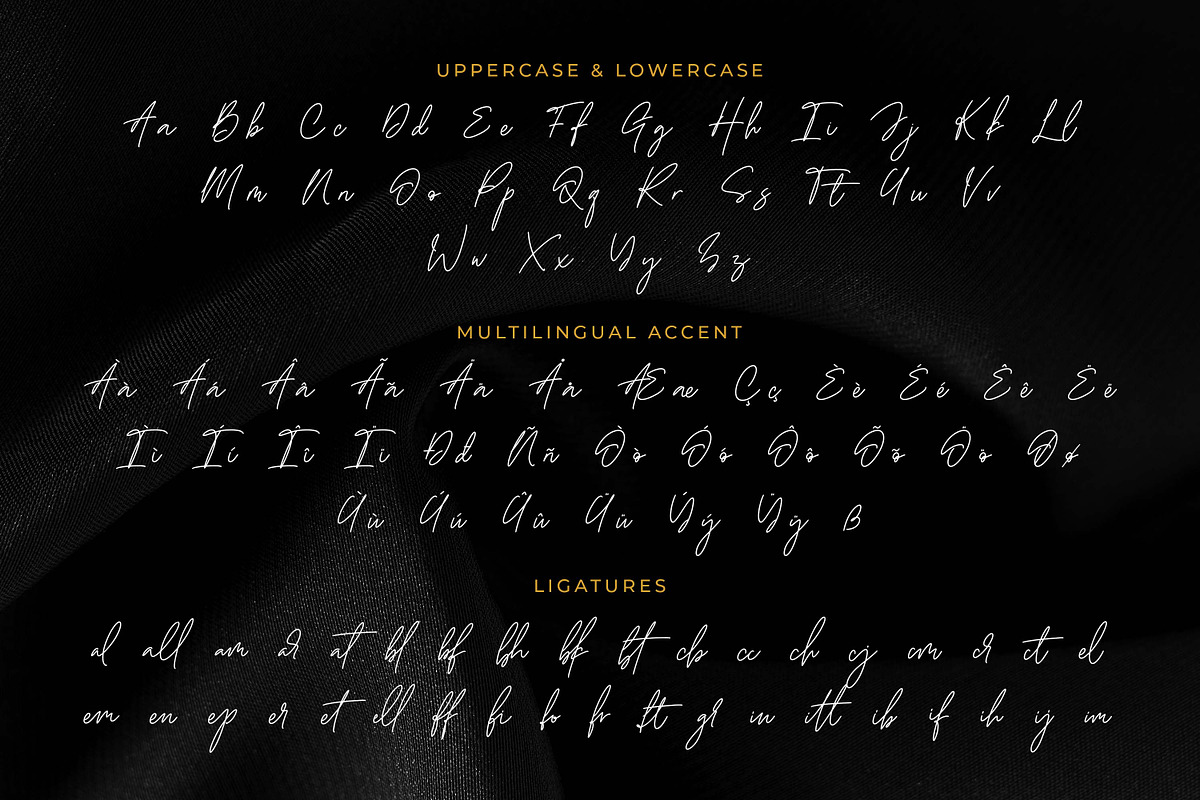 Handestonie - Signature & Classy, a Script Font by Almarkhatype (Photo 9 of 10)
