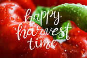 Happy Harvest Vector Illustrations, a Food Illustration by sceptical cactus (Thumbnail 12 of 12)