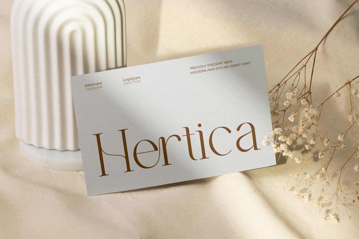 Qioner || Modern Minimalist Serif, a Serif Font by Ermedia Studio (Photo 5 of 10)