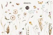 Dried Wildflowers Collection, a Decorative Illustration by TanyaOak (Thumbnail 6 of 9)
