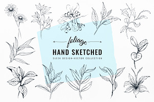 Foliage Hand Drawn