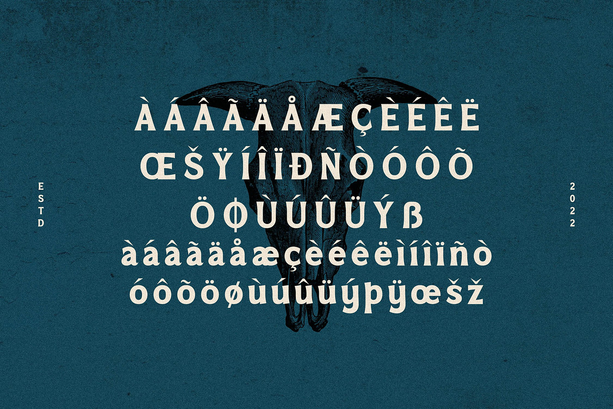 Mofeika Display Serif Typeface, a Sans Serif Font by Storytype Studio (Photo 14 of 15)
