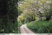 Essentials Lightroom Presets, an Action Add-On by Preset Perfect (Thumbnail 2 of 3)