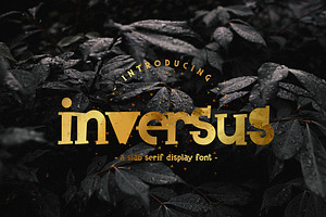 Inversus A Slab Serif Display Font