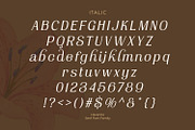 Havenite, a Serif Font by din-studio.com (Thumbnail 11 of 16)