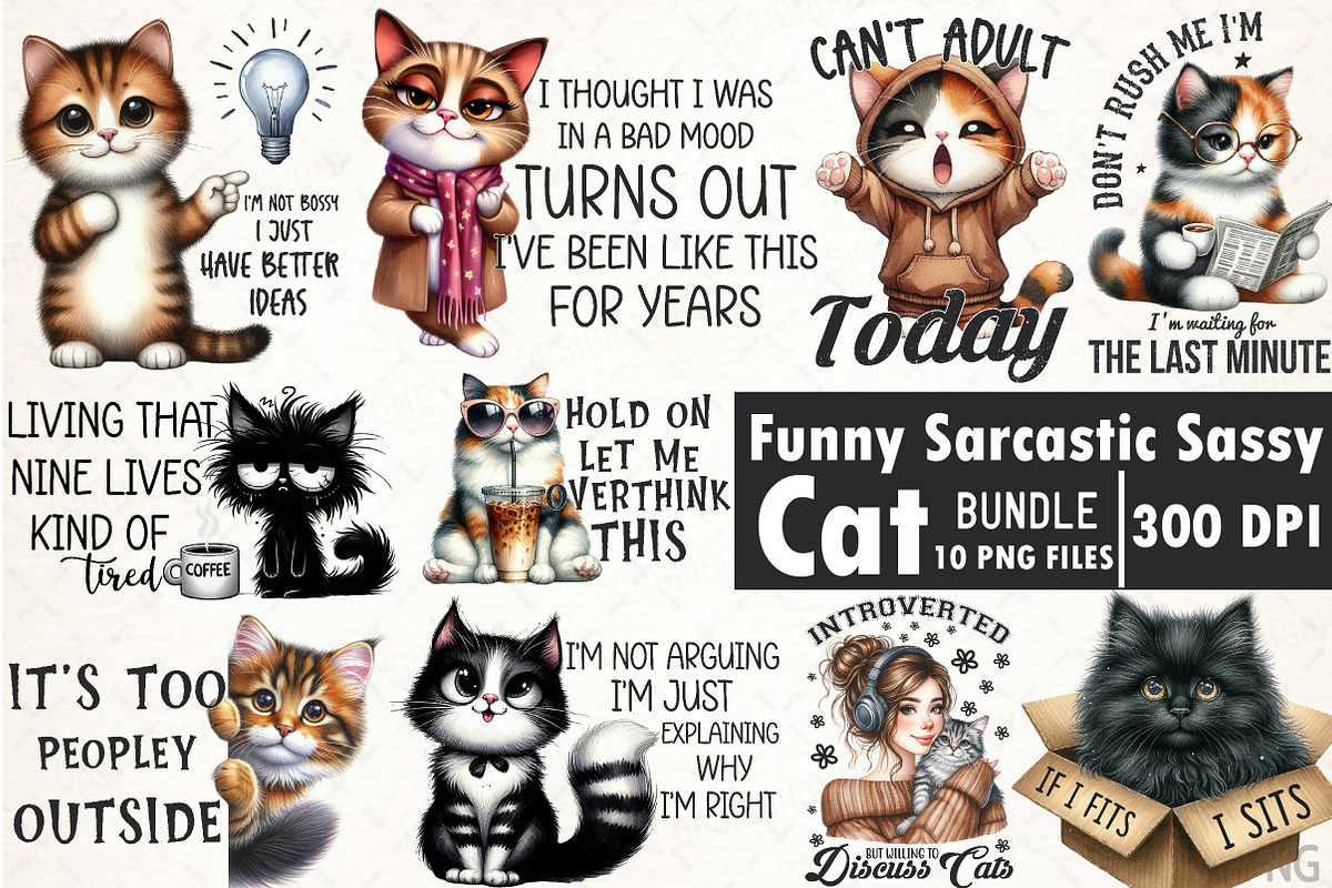 Funny Cat Sarcastic Sassy PNG, an Illustration by SinaCreation (Photo 1 of 20)