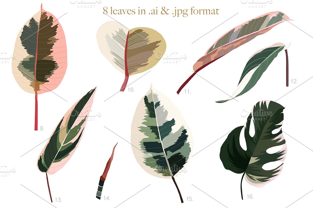 Pink tropical frames and patterns, an Illustration by marie dricot (Photo 13 of 15)