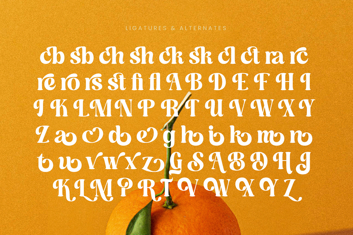 Dusty Brothe Groovy Serif Display, a Serif Font by timelesstype.co (Photo 18 of 20)