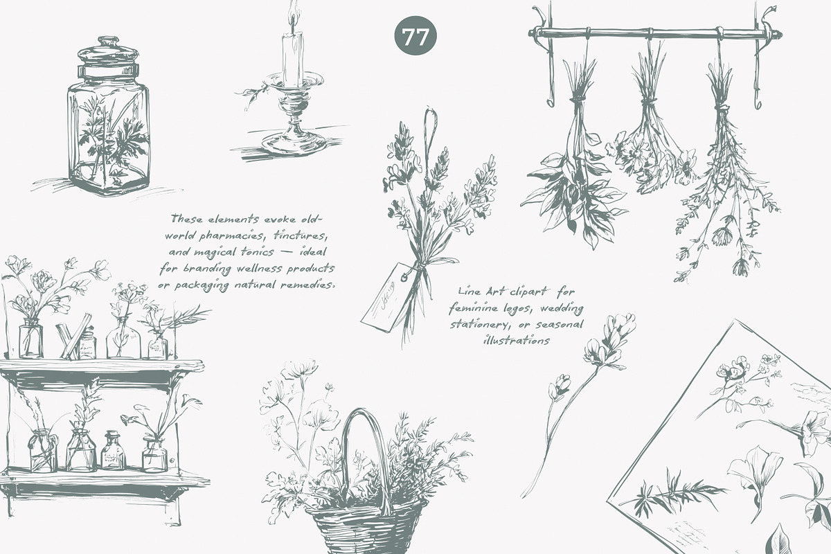apothecary clipart vintage collectio, a Decorative Illustration by Patishop Art (Photo 7 of 10)
