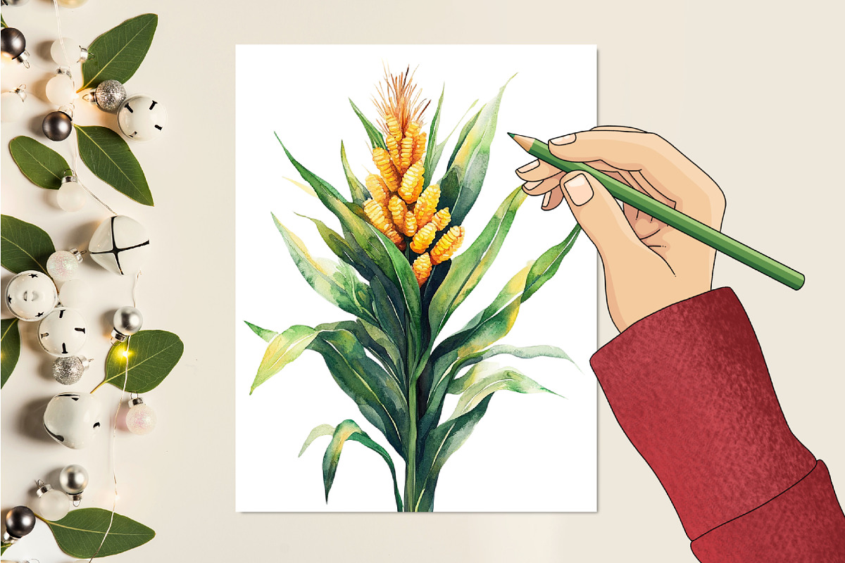 Corn Watercolor Cliparts, an Illustration by RobertsArt (Photo 2 of 7)