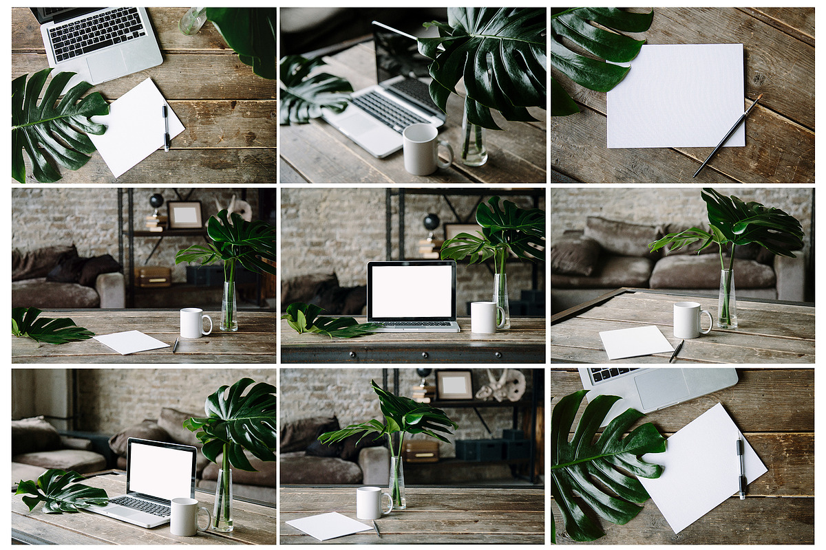 Monstera photo bundle, a Product Mockup by KateAedon (Photo 2 of 4)