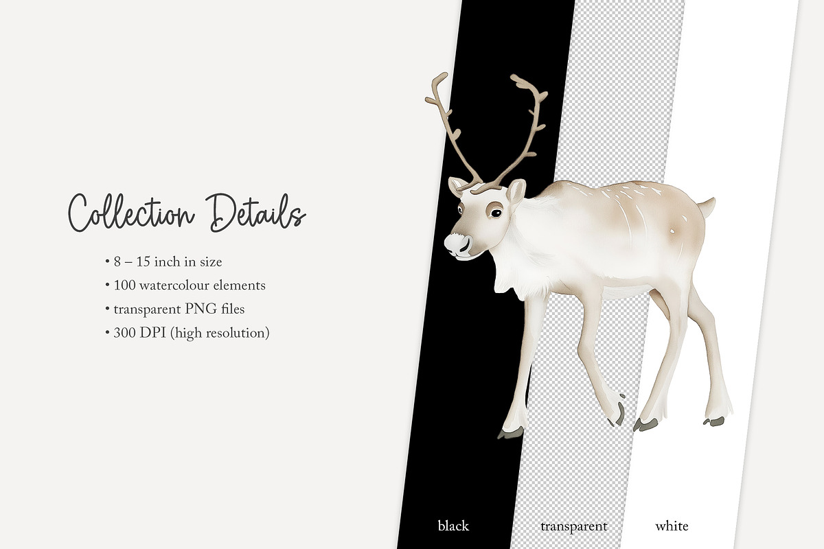 100 polar animal clip art, an Animal Illustration by Poppy Lane Studio (Photo 10 of 12)