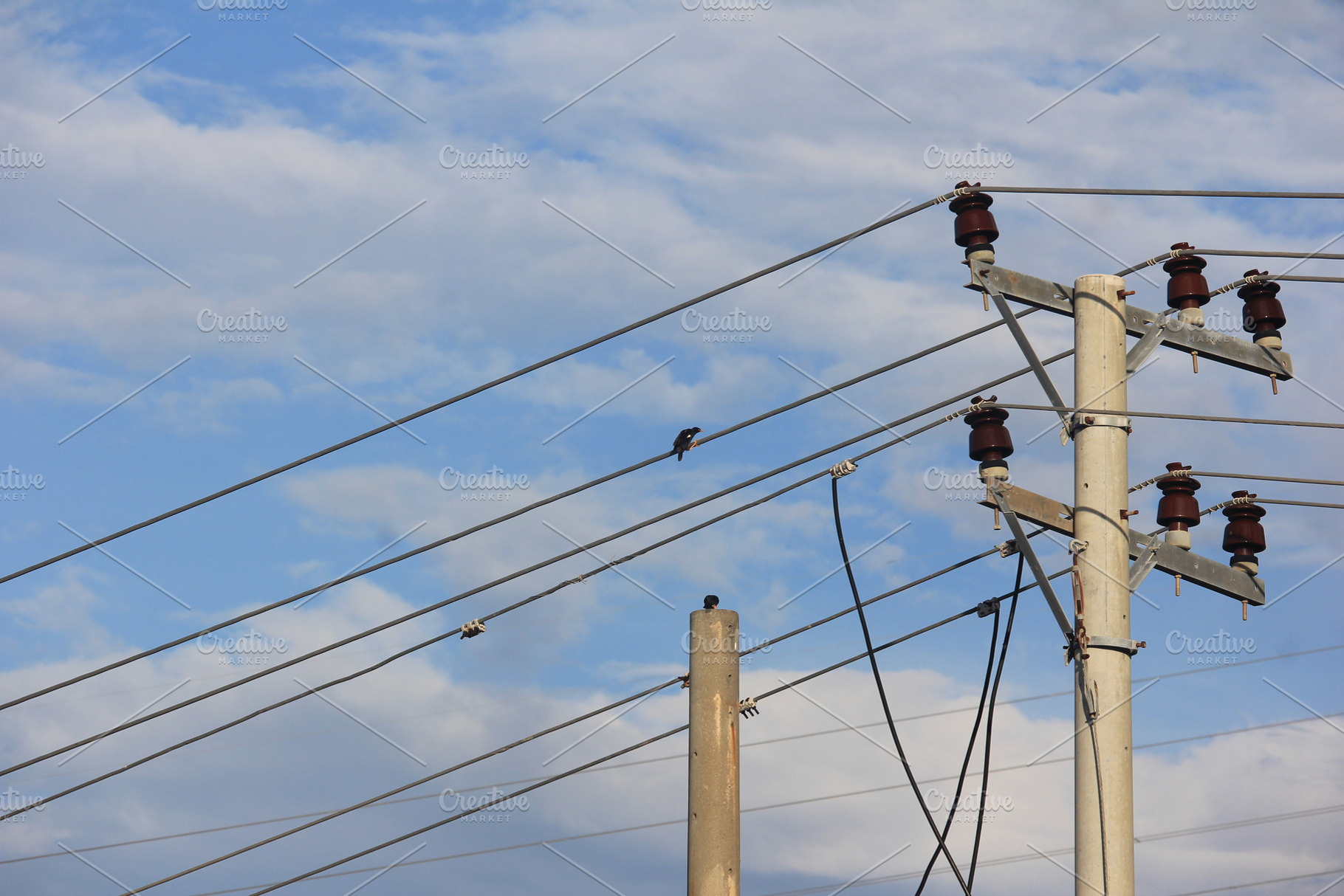 Bird on Electric Wire Under Blue Sky, an Industrial Photo by bastera