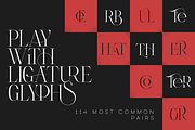 Type Monster - Elegant Font + Extras, a Serif Font by VP Fonts (Thumbnail 6 of 15)