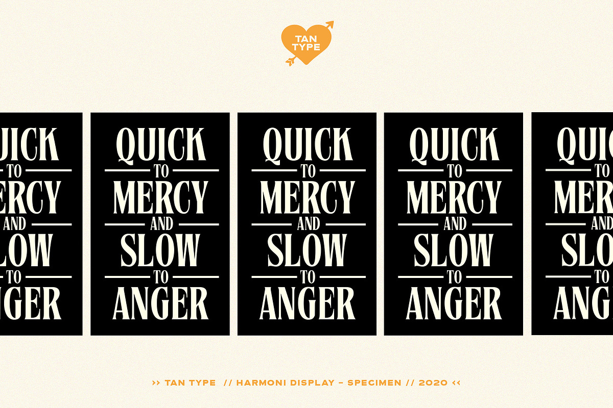 TAN - Harmoni, a Serif Font by TanType (Photo 17 of 19)