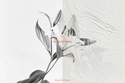 White Crumpled Paper Textures | JPG, a Texture Graphic by Studio Viita (Thumbnail 5 of 9)