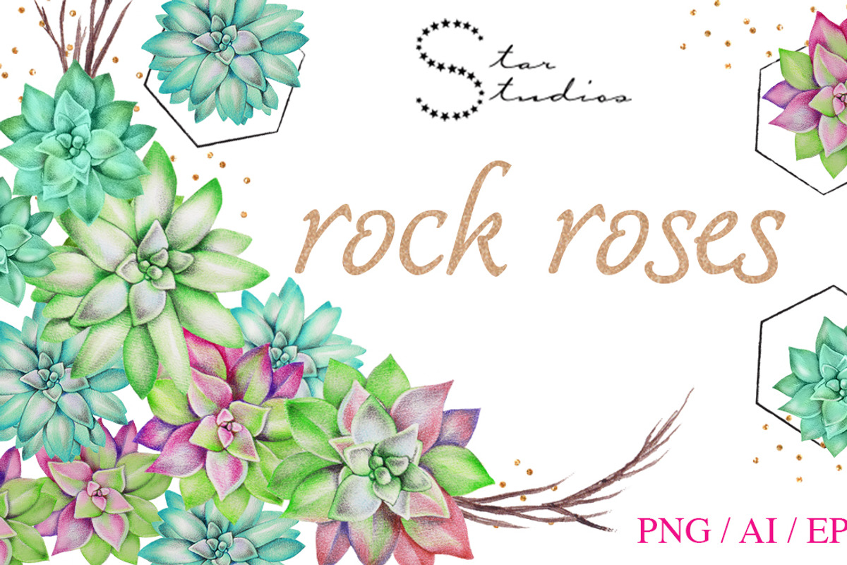 Rock Roses, an Illustration by Dana Designs (Photo 1 of 3)
