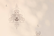 Pre-made Logo Templates + Packaging., a Branding & Logo Template by Olya Creative (Thumbnail 4 of 14)