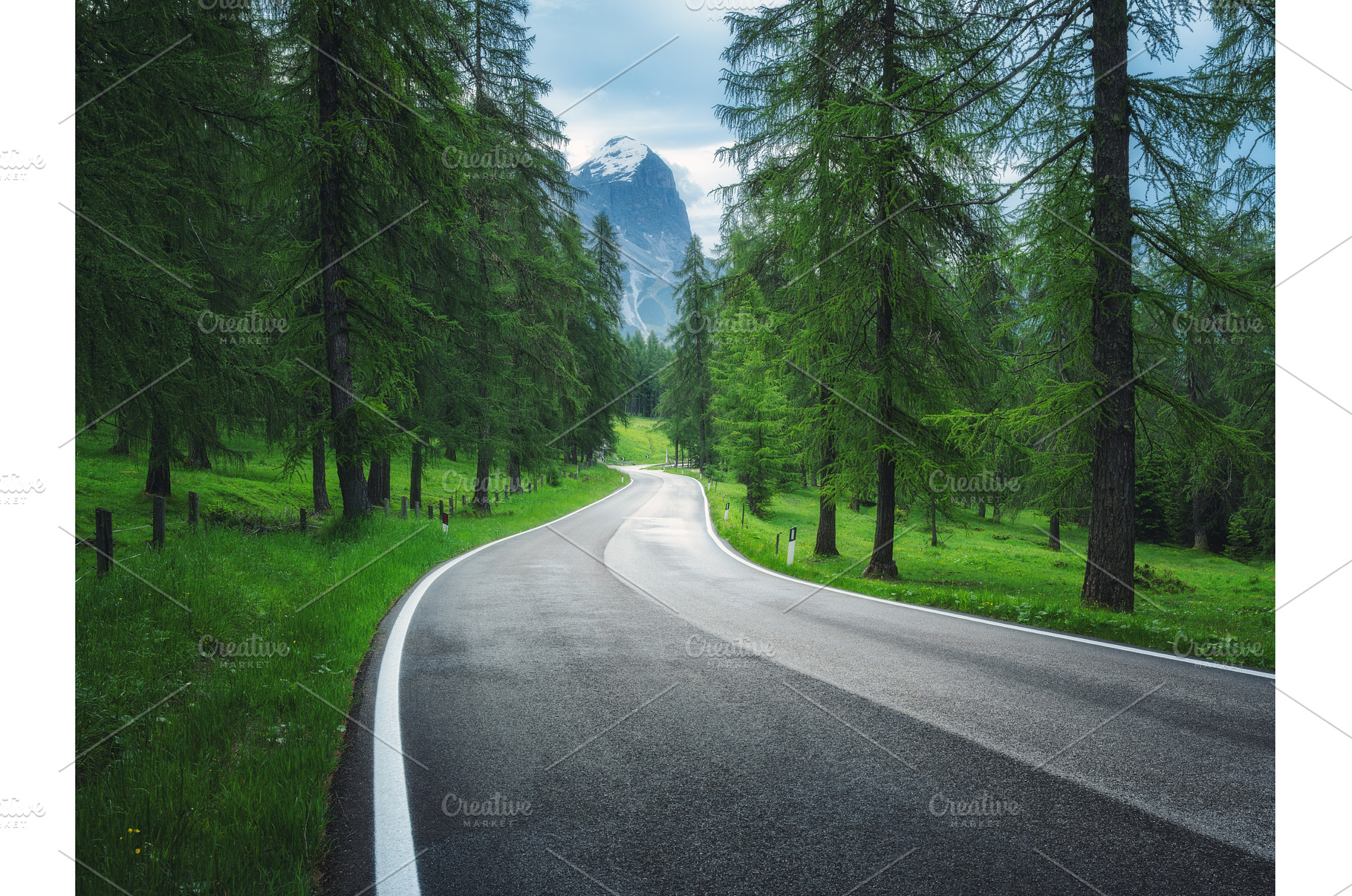 Road in green forest in rainy summer, a Transportation Photo by den-belitsky