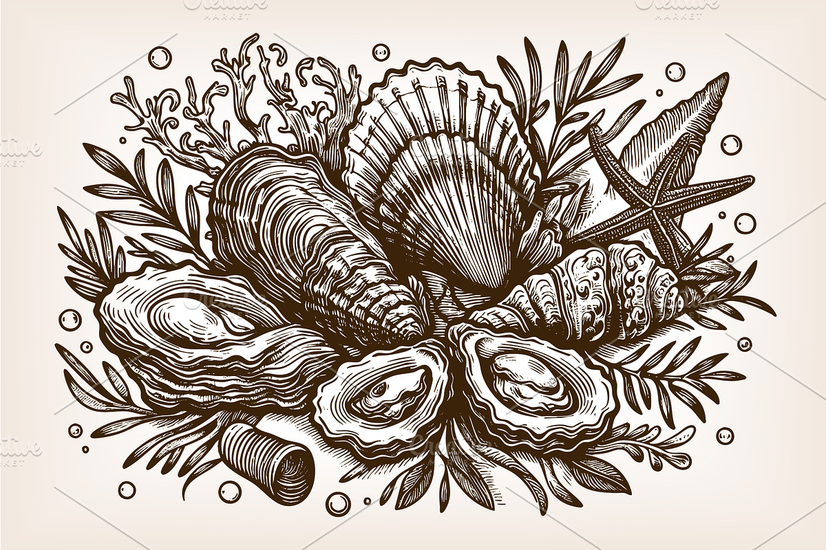 oysters with shells engraving sketch, an Animal Illustration by AlexArt