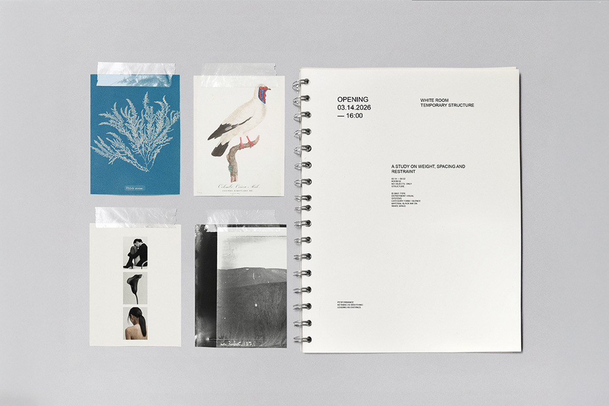 Notebook Collage Mockup, a Books & Magazine Mockup by nkate (Photo 1 of 7)