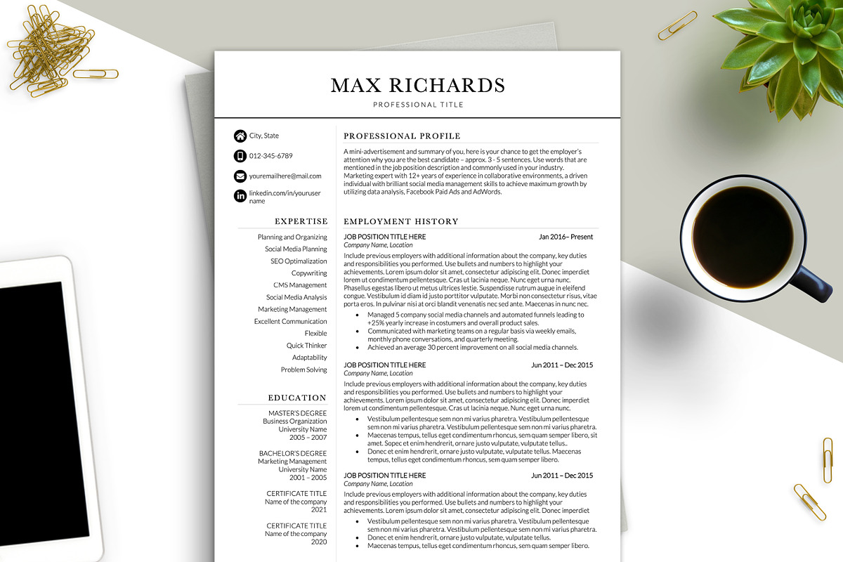 Modern Two Column Resume Template, a Resume Template by BestResumes.Co