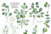 Watercolor EUCALYPTUS Greenery plant, a Decorative Illustration by AnnaTkachi (Thumbnail 2 of 11)
