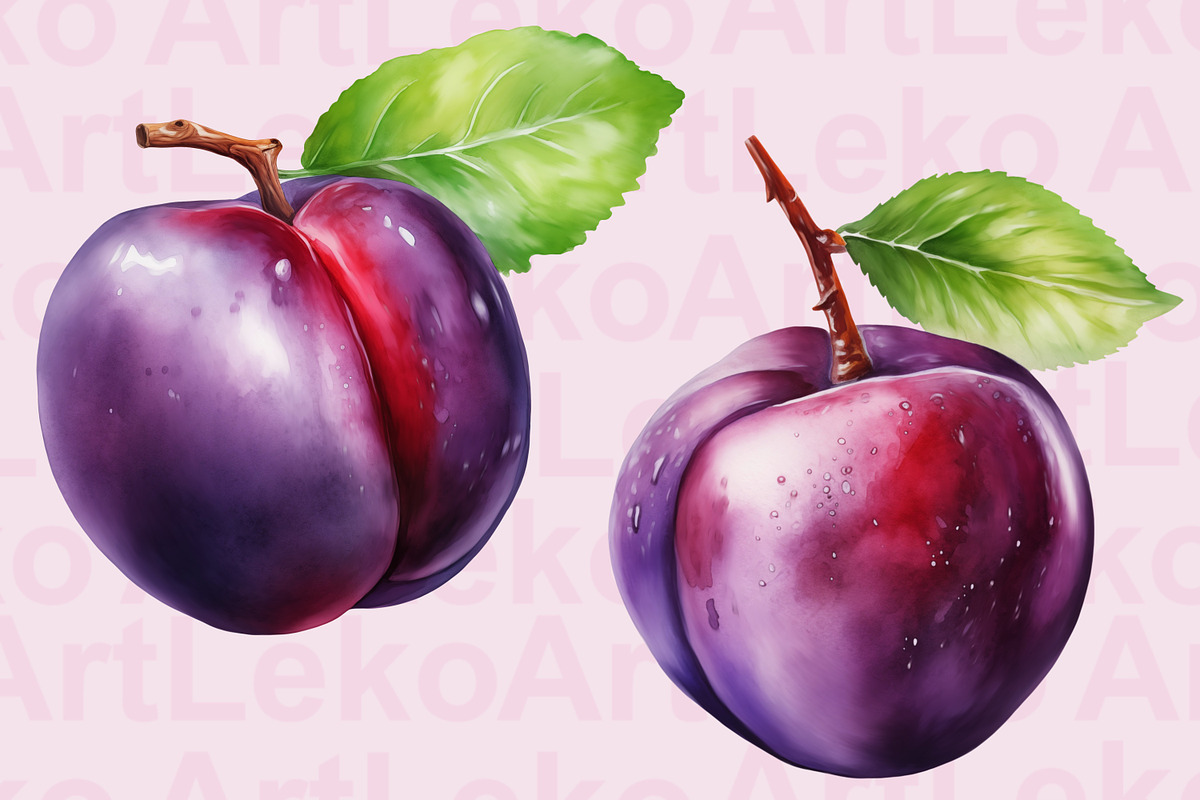 Plums Watercolor Clipart, a Food Illustration by LekoArt (Photo 2 of 10)