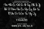 Magister, a Font by InermediaSTUDIO (Thumbnail 2 of 8)