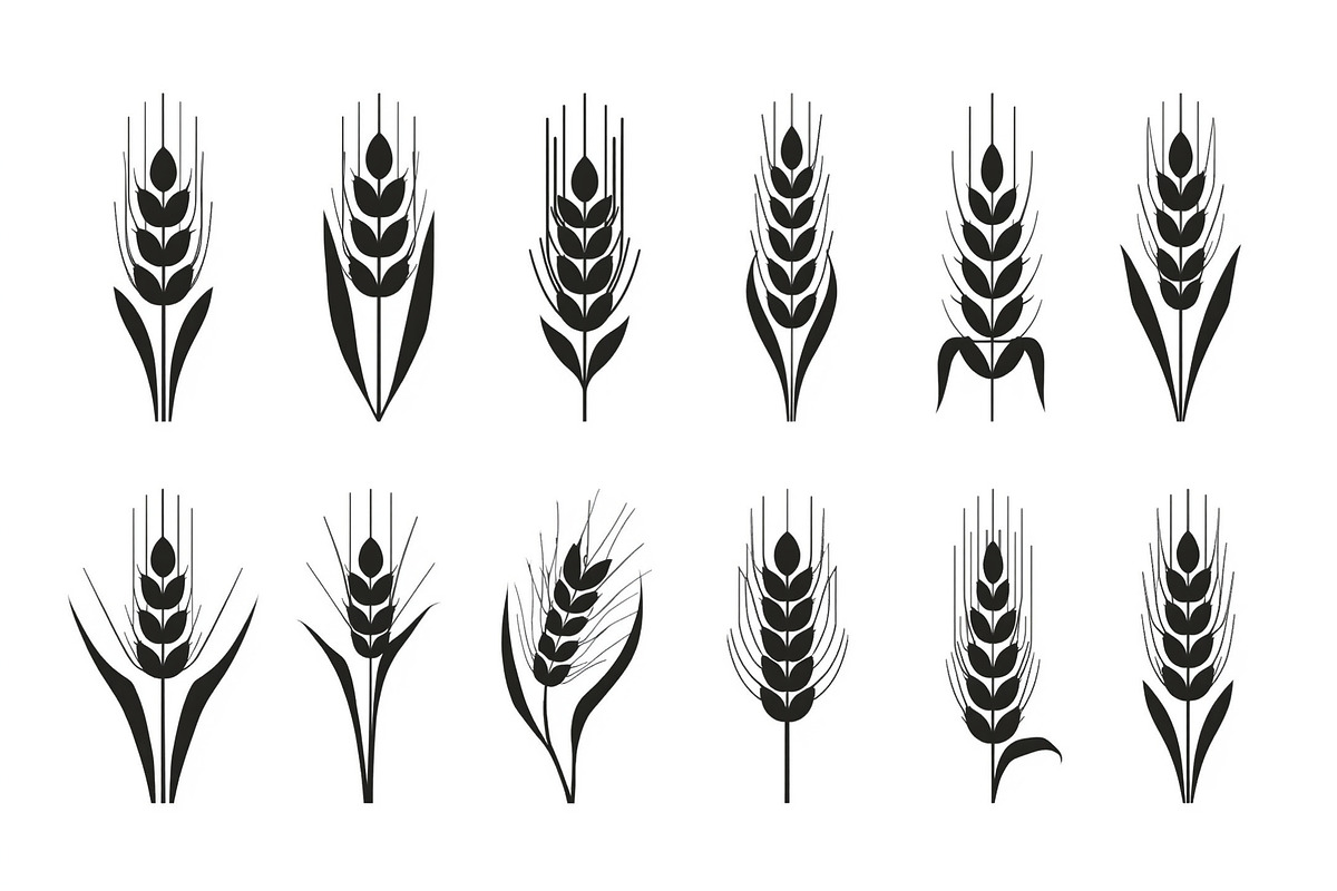 Agriculture Grain Silhouette Pack, an Illustration by Creativeshirt (Photo 2 of 9)