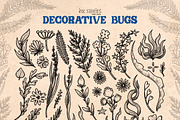 Decorative Bugs | Hand-drawn Bettles, an Animal Illustration by Ink Stories (Thumbnail 5 of 28)