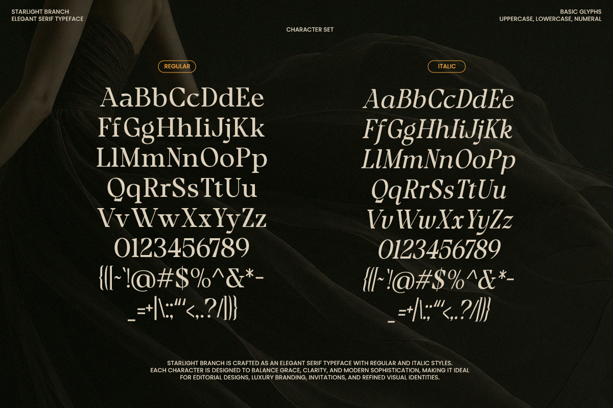 Starlight Branch – Luxury Serif Font, a Serif Font by RagamKata (Photo 10 of 10)