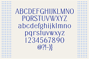 Asides - Family Serif Font, a Serif Font by ManType (Thumbnail 8 of 8)