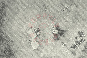 Halftone Marble Textures, a Texture Graphic by GhostlyPixels (Thumbnail 8 of 15)