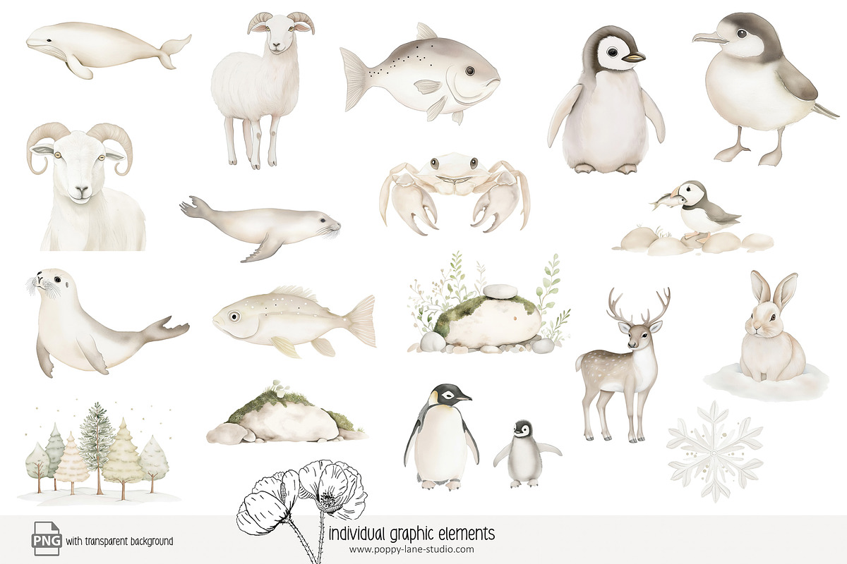 100 polar animal clip art, an Animal Illustration by Poppy Lane Studio (Photo 2 of 12)