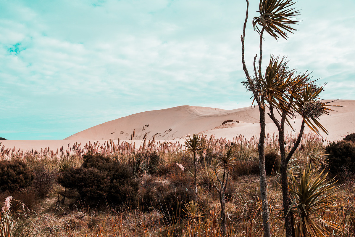 Orange & Teal Lightroom Presets, an Action Add-On by PhotoMarket (Photo 38 of 42)