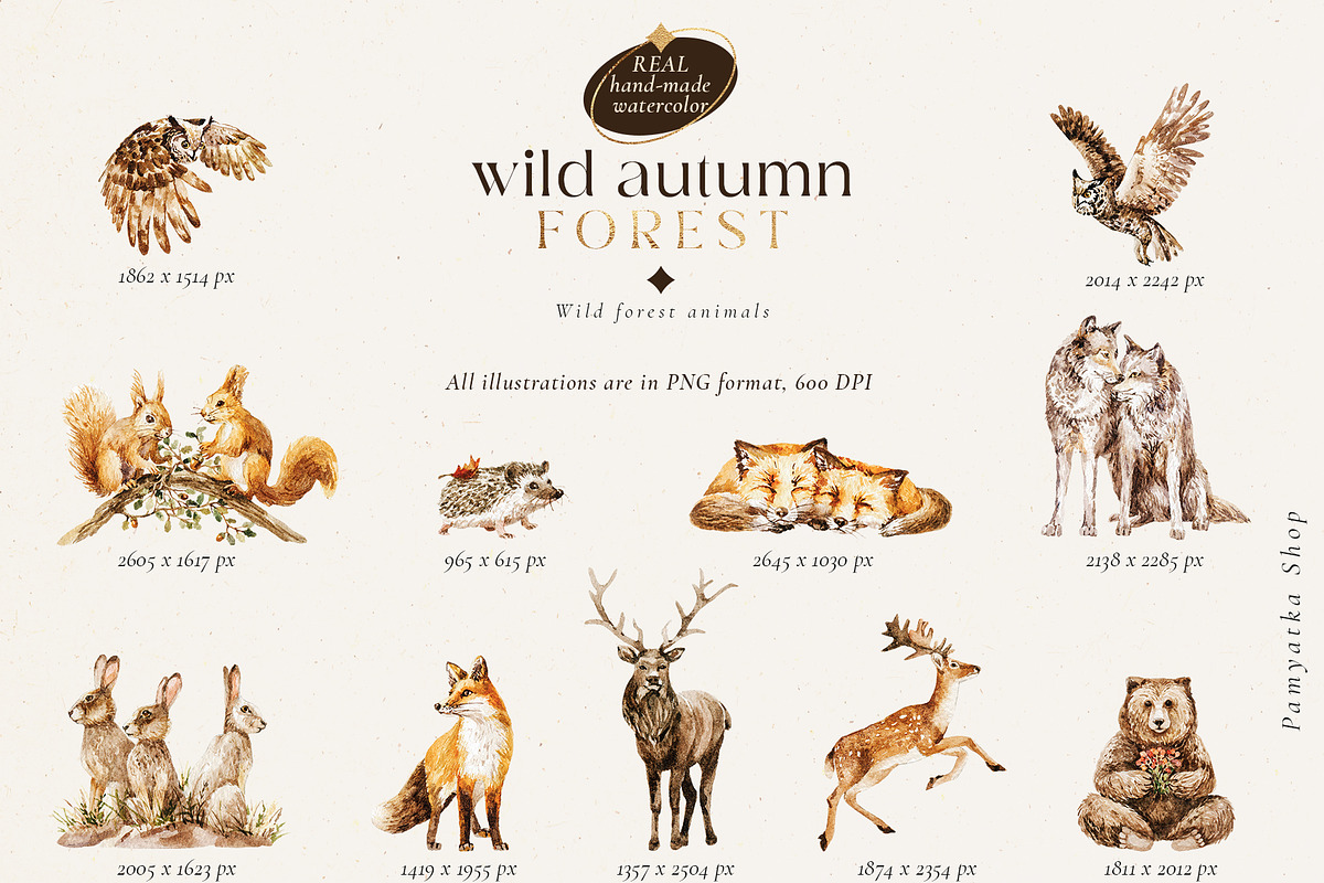 Wild autumn forest - watercolor fall, an Animal Illustration by Pamyatka Shop (Photo 16 of 16)