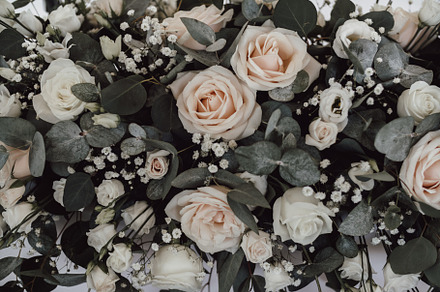 Wedding Roses