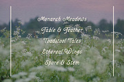 Fairwren, a Serif Font by Chelsea Burkett (Thumbnail 8 of 9)