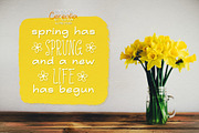 Cerealia Spring Handwritten Font Duo, a Handwritten Font by LTNG STUDIO (Thumbnail 2 of 8)